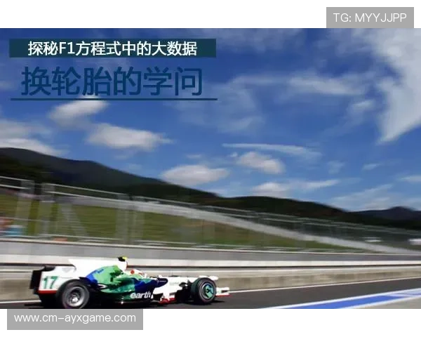 F1车队数据安全管理制度设计 F1车队数据安全管理制度设计