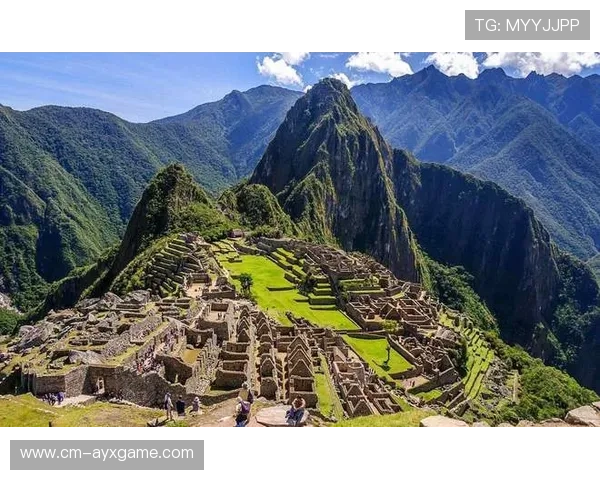 多名核心状态断崖式下滑,原因至今成谜 多名核心状态断崖式下滑,原因至今成谜