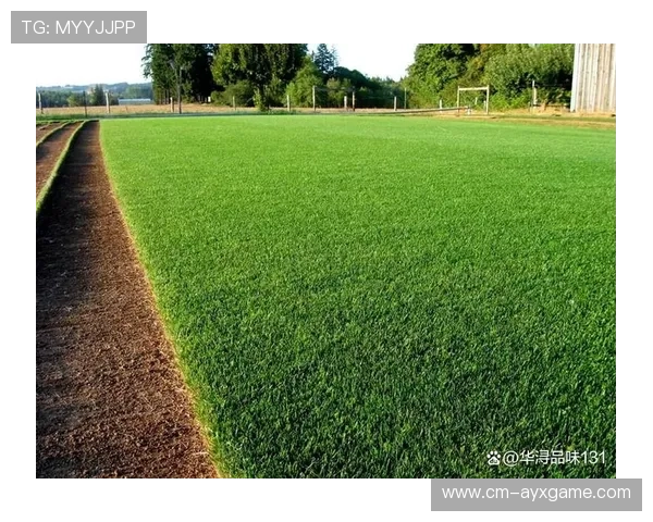 世界杯将启用防摔草皮，减少高频对抗受伤概率